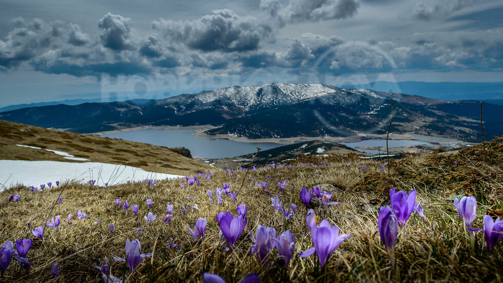 Гледка от местността "Премката"
