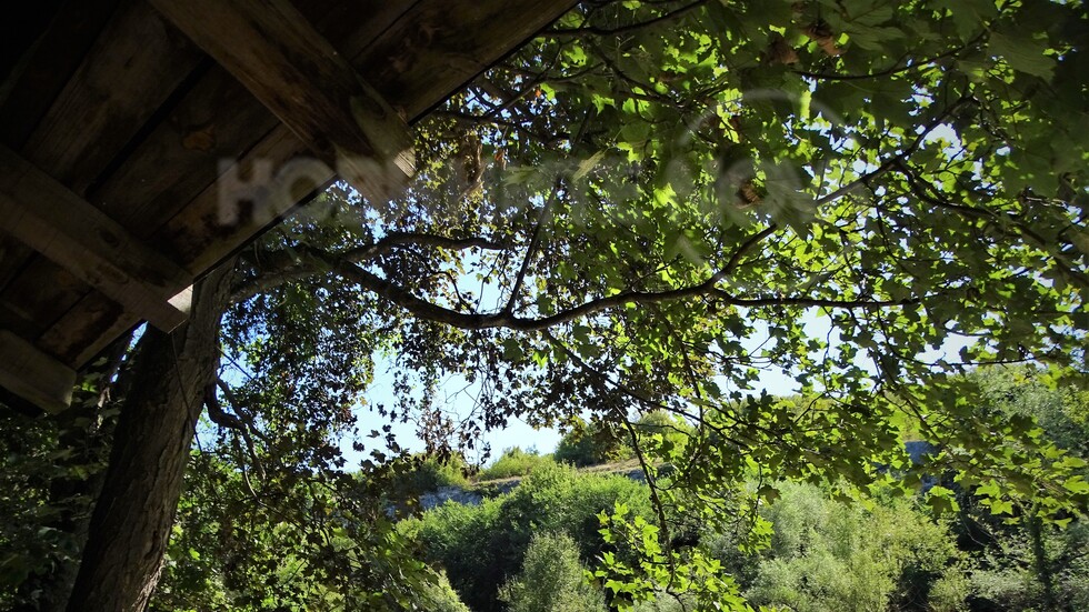 Най-добре е под дебелата сянка на каньона"Чернелка"!