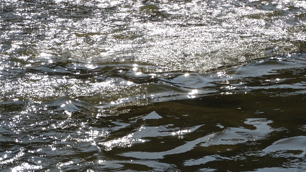 Слънчеви зайчета по река Вит,край Плевен!