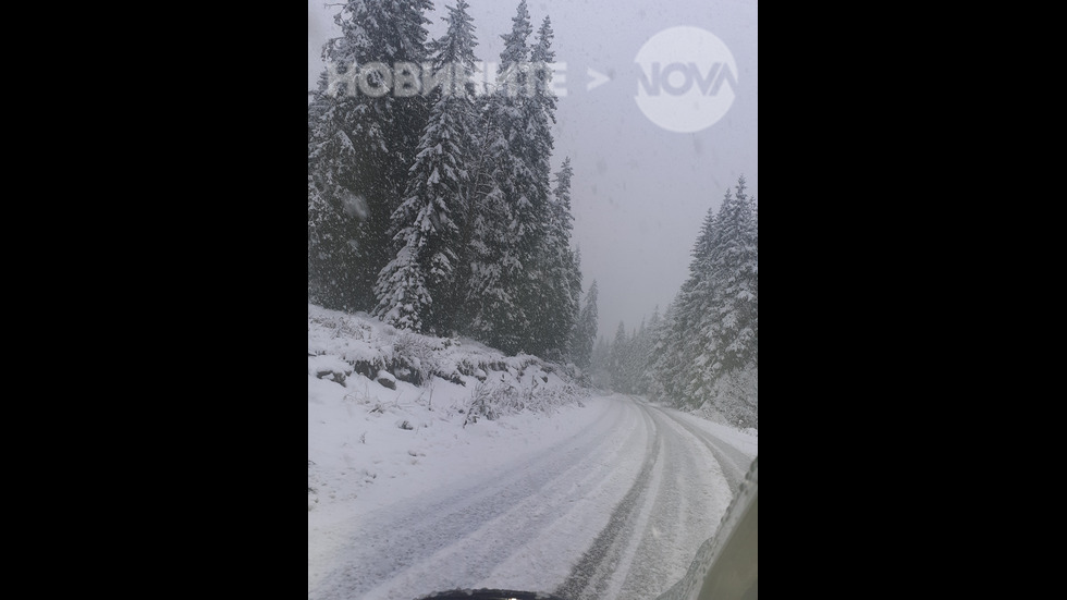 Снежна приказка