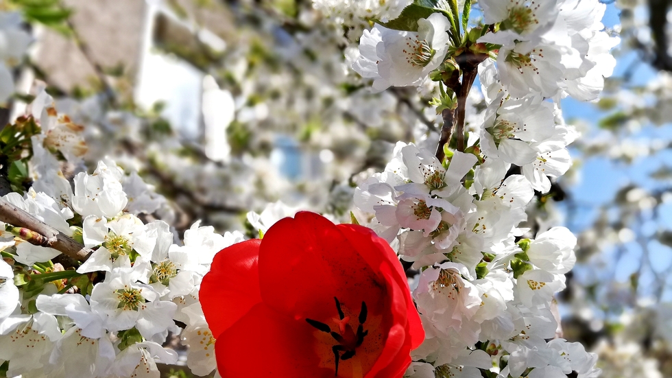 Добре дошъл месец, април!