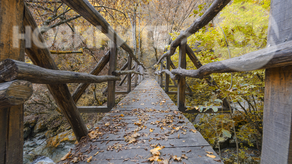 Есенен мост в резерват "Бяла река"
