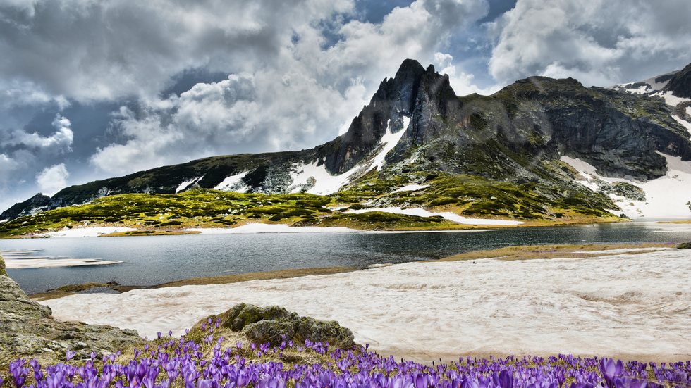 Минзухари край езерата