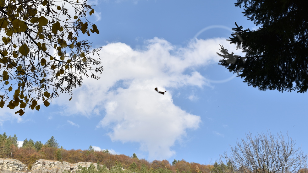 Арахангеловден