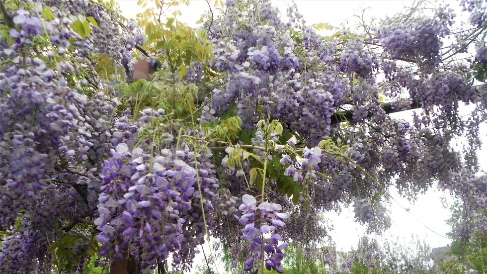 Пролетно настроение!