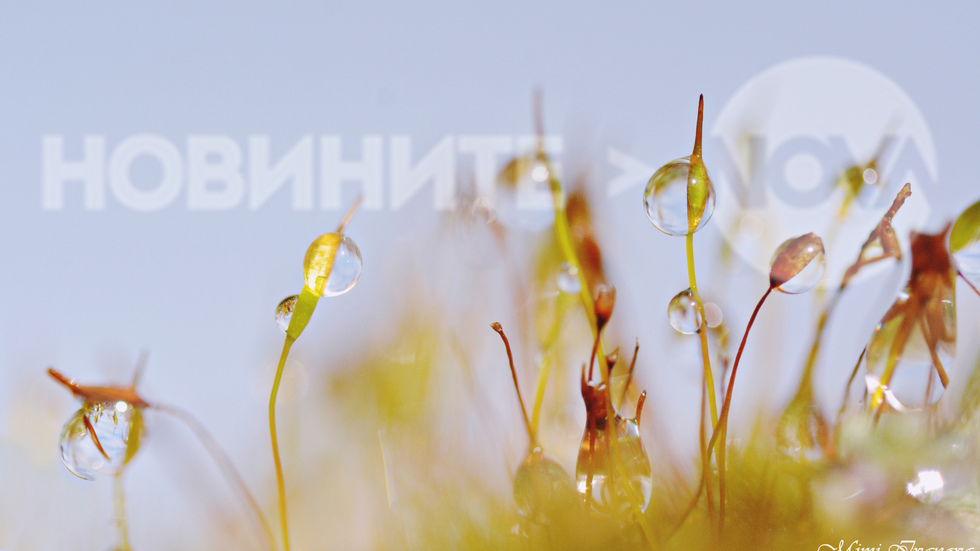 Безкрайна нежност в дъждовния ден