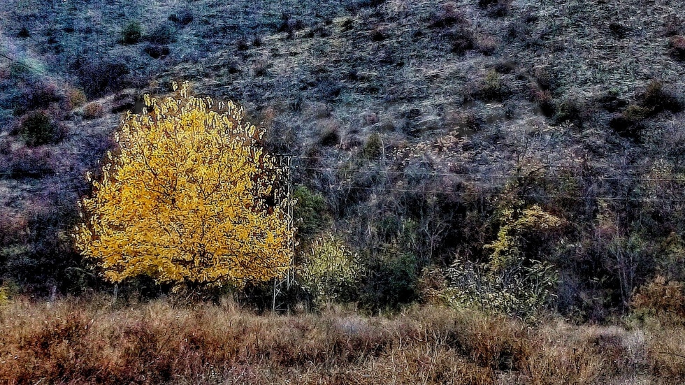 Есенни картини