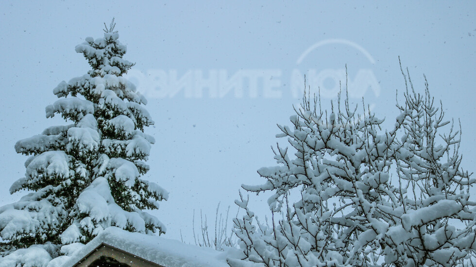 Зима в с. Равно поле