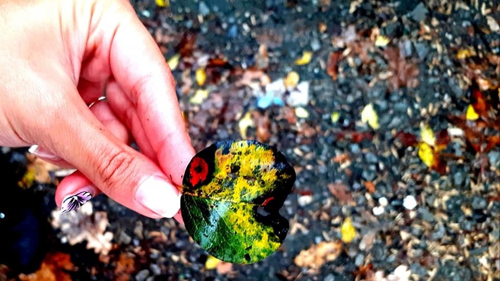 Цветно настроение в дъждовния ден