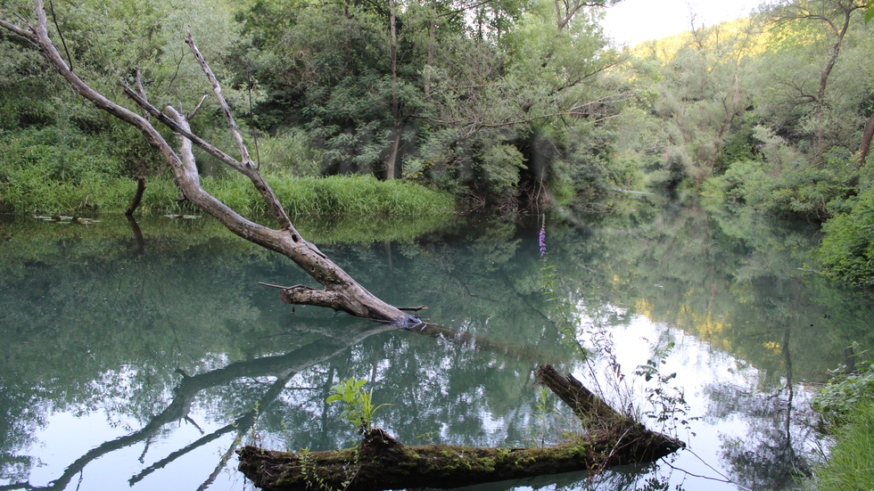 Искър Панега в целия ѝ блясък