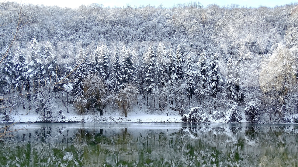 Зимна приказка