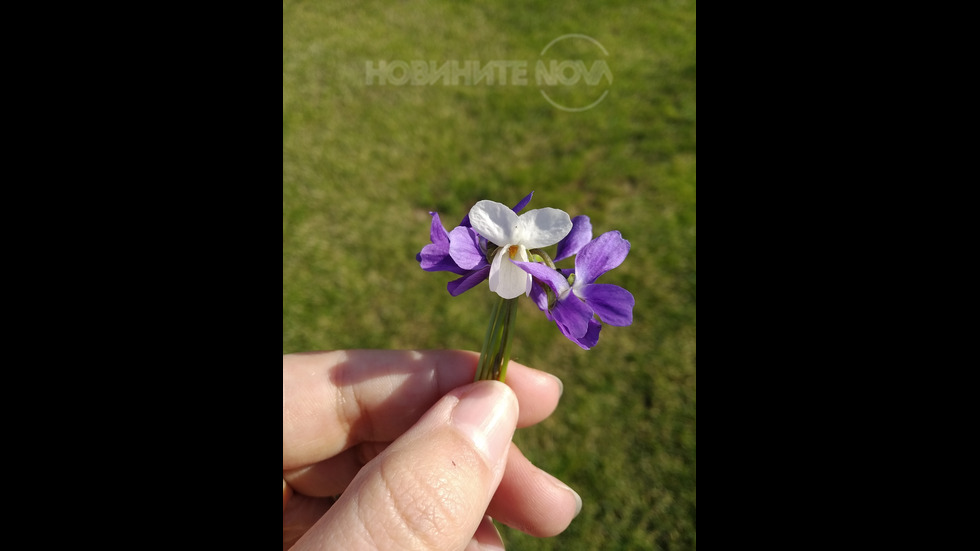 Пролет