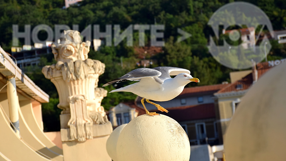 Миг, преди полета!