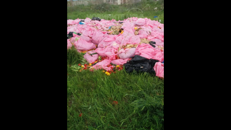 Изхвърляне на тонове отпадъчна храна от заведенията