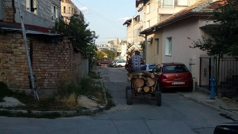 Незаконно изсичане на гората в кв. "Аспарухово", Варна