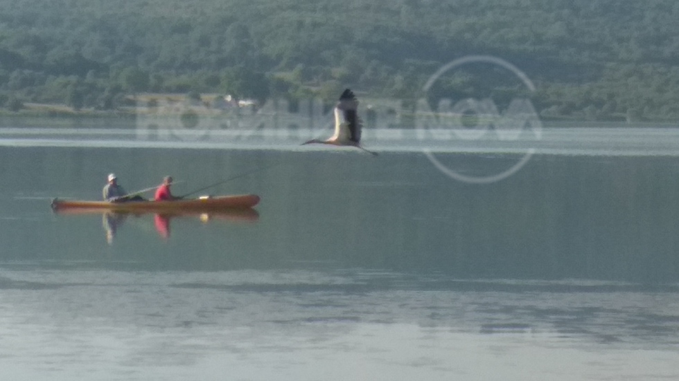 Днешното утро на язовир Пчелина