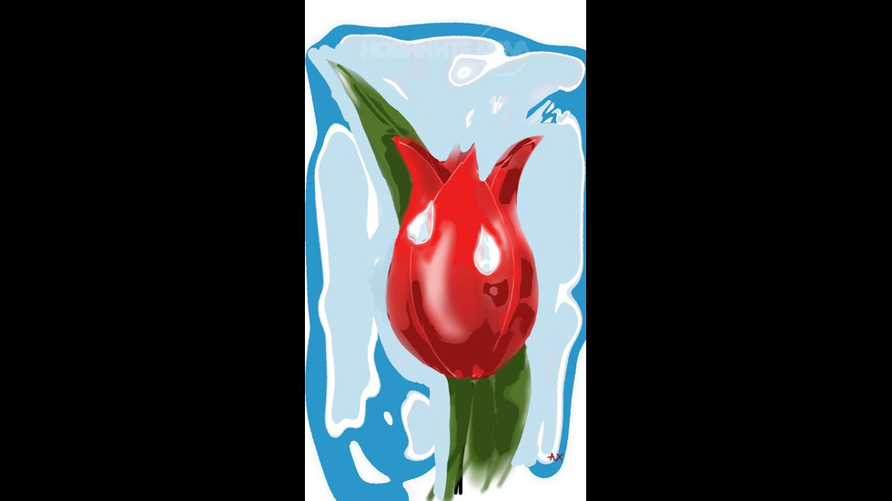 Дъждовни капки