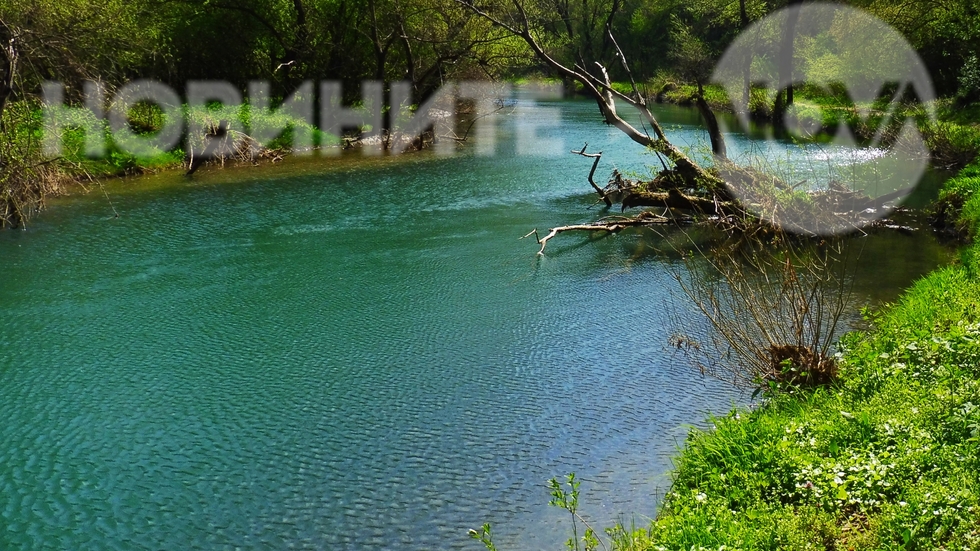 За прогнозата за времето