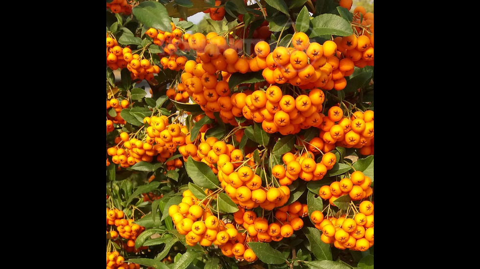 Малки неща!