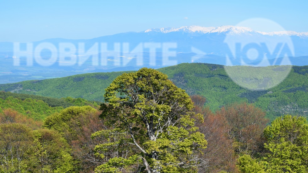 В Осоговската планина с гледка към Рила планина и последните дни на април