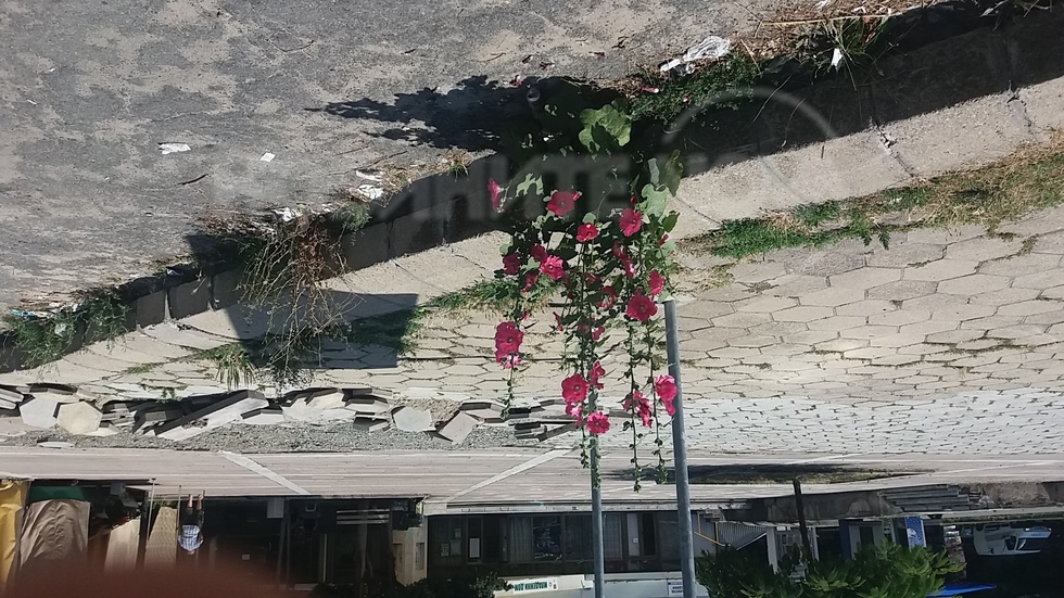 Природата се грижи за красотата