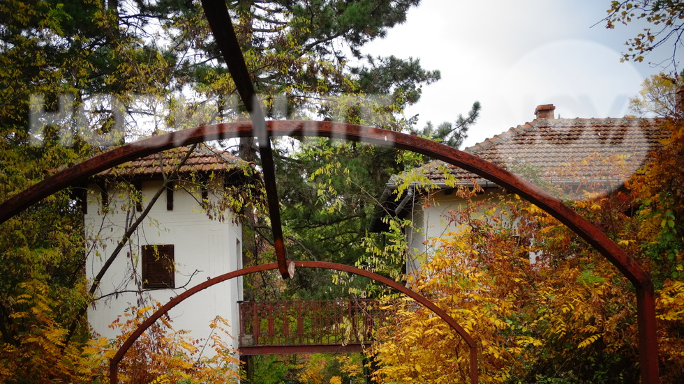 Златна есен в Скобелевия парк, Плевен