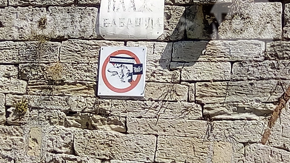 Плажът във Видин