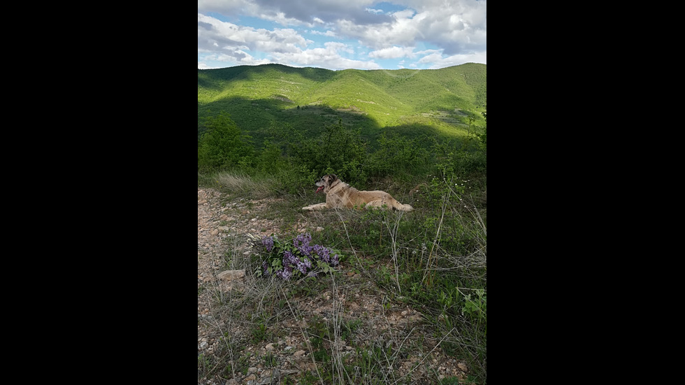 Красотата на Северозапада