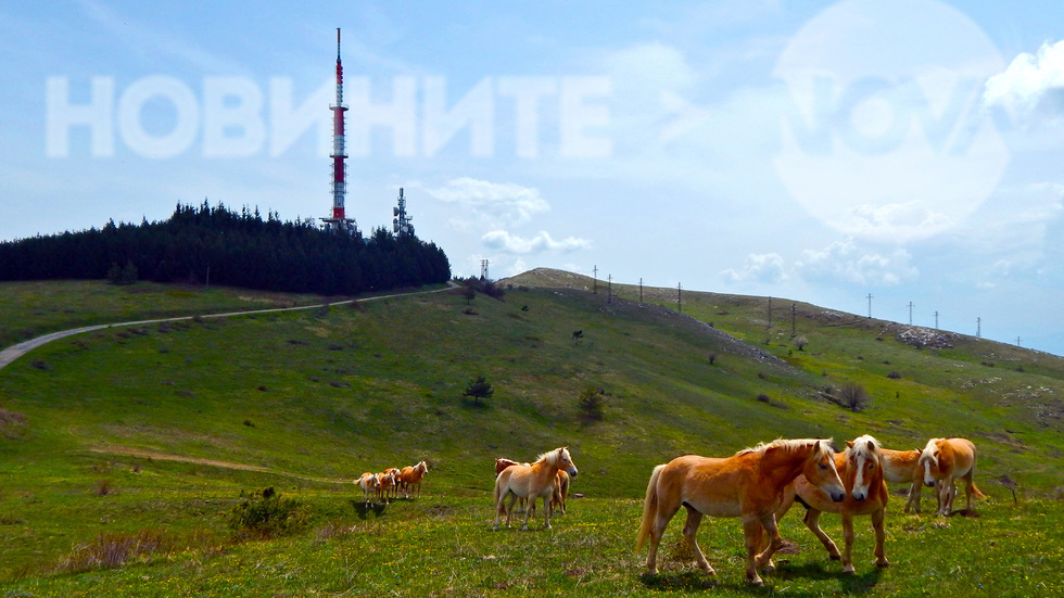 Свобода за любовта!