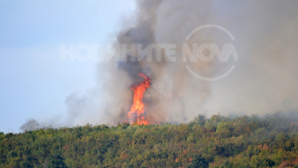 Пожар над Варна в с. Каменар