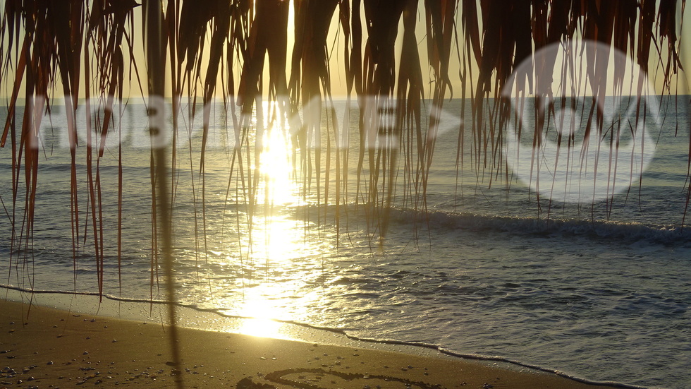 Обичайте се!