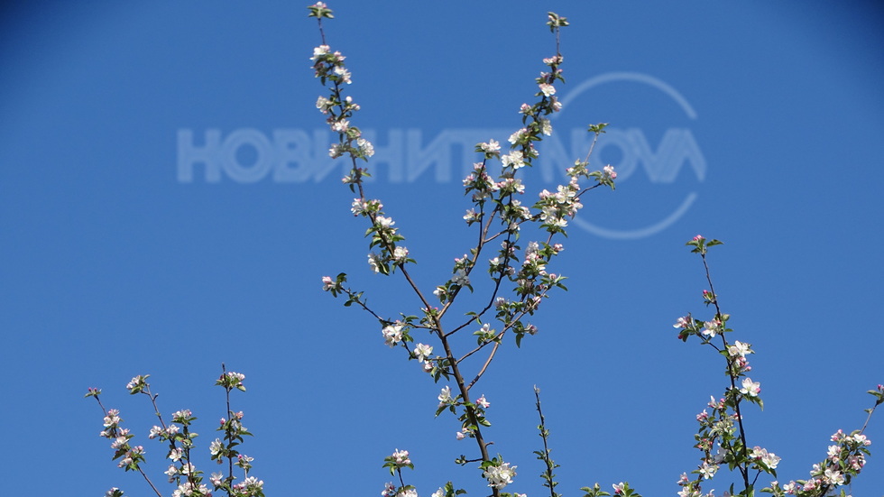 Безоблачно небе!