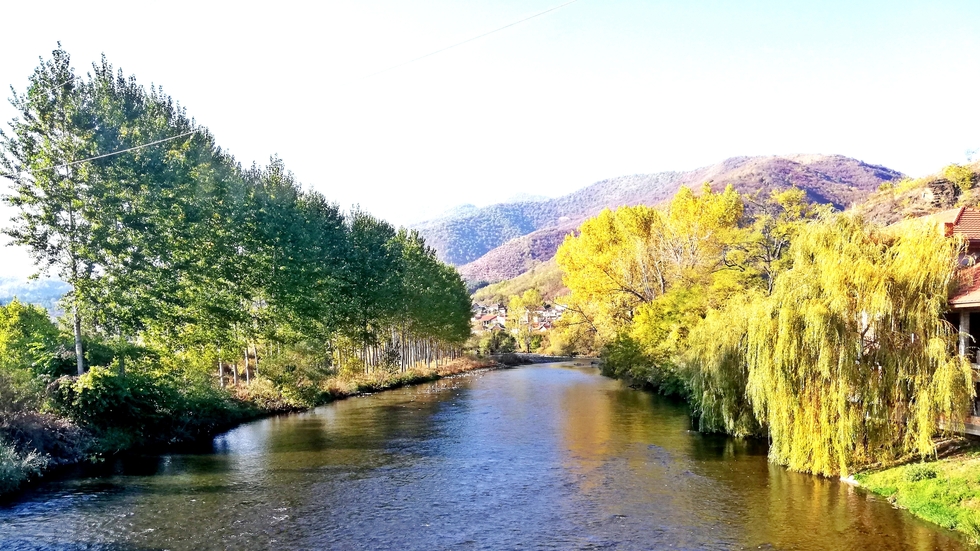 Есен край река Искър