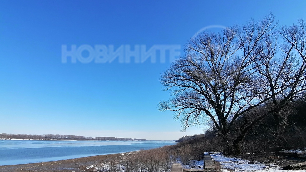 Дунав при Свищов днес