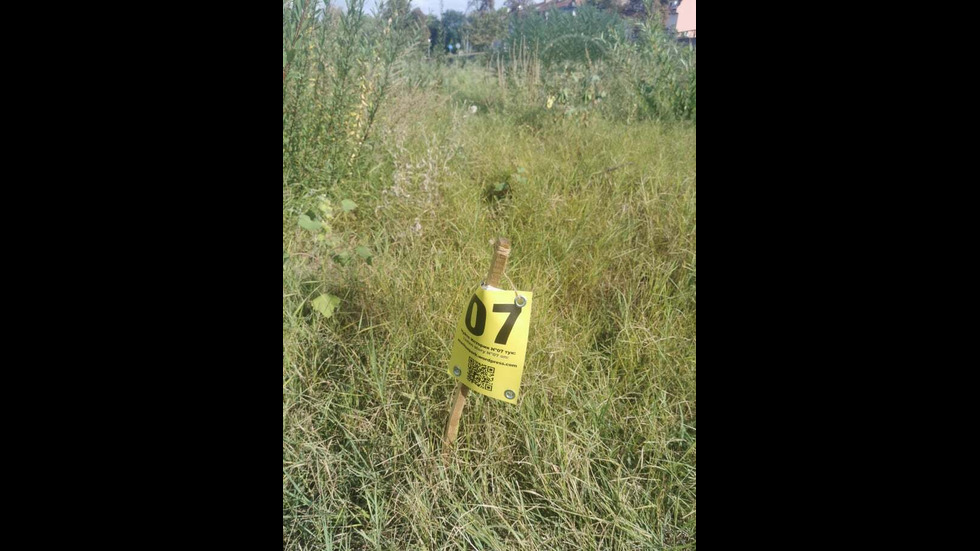 Некадърността на пловдивските управници