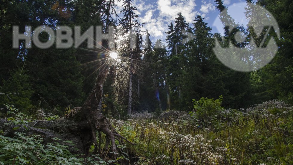 Последен топъл ден в Рила