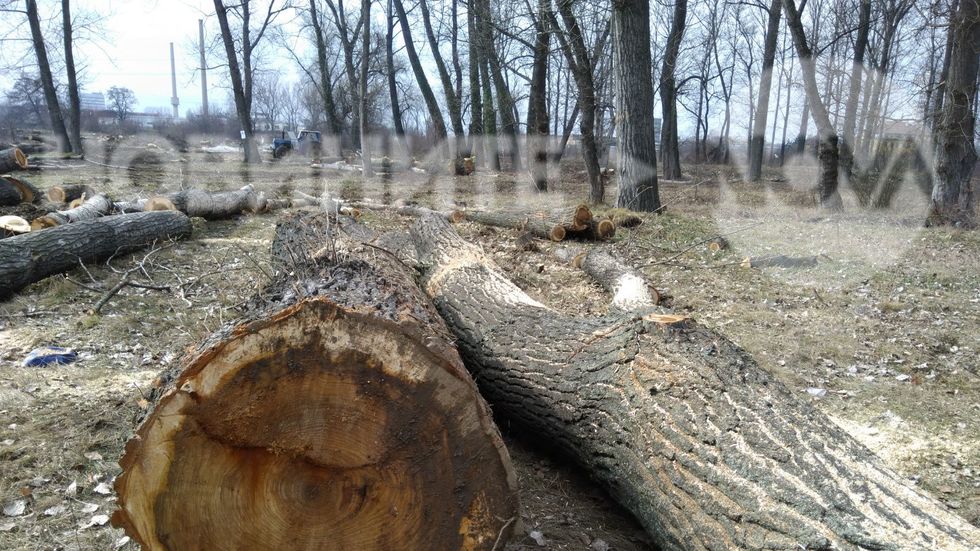 Поголовна Гола сеч в София за по чист въздух