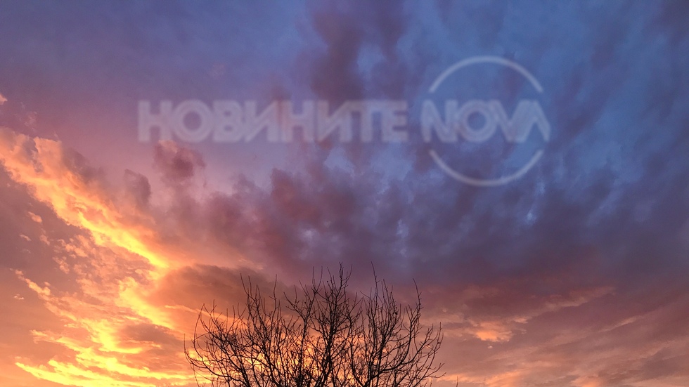Цветна утринна фантазия