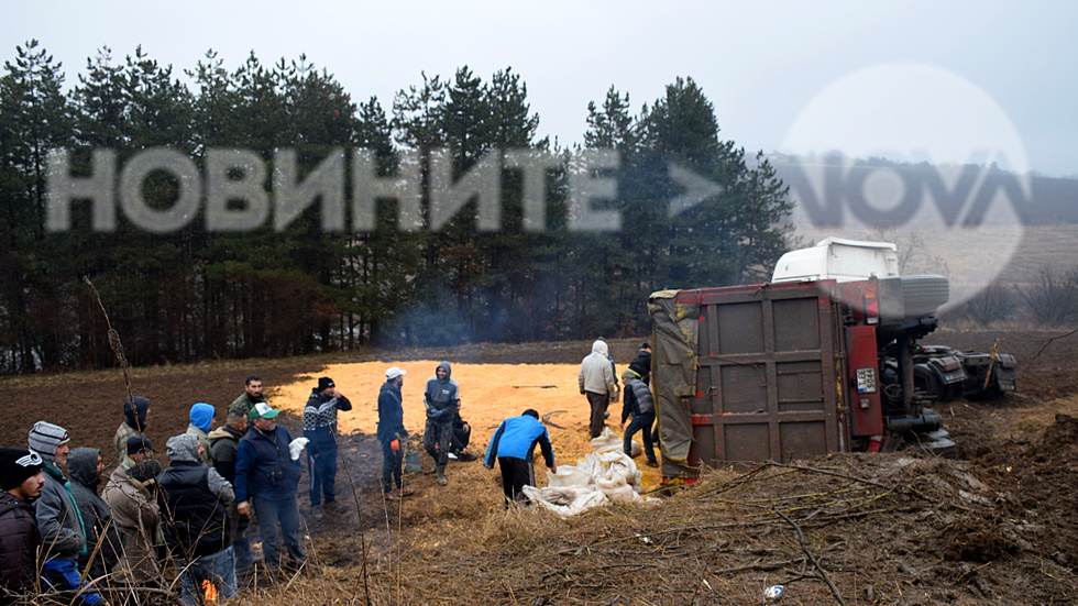 ТИР пълен с царевица се е обърнал близо до с.Киченица, Разградско