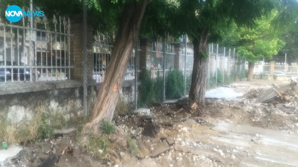 Ремонт убива дървета в двора на училище