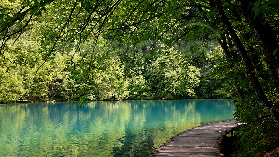 Винаги красиви и прохладни!