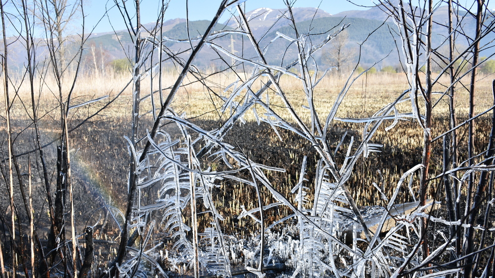 Последно мартенско утро