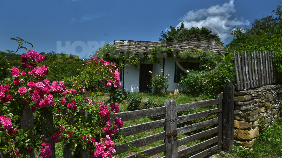 Лято в Боженци