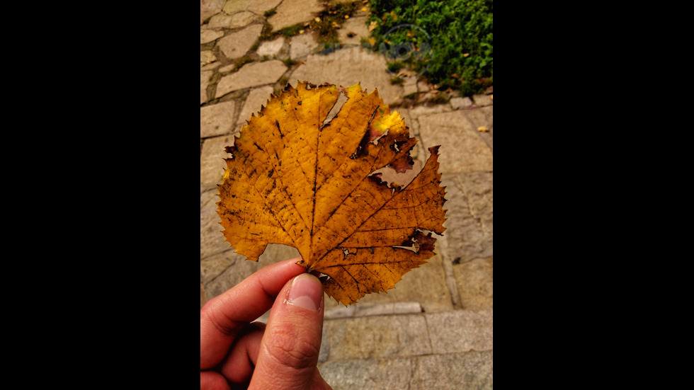 Красиво за едни, грозно за други.