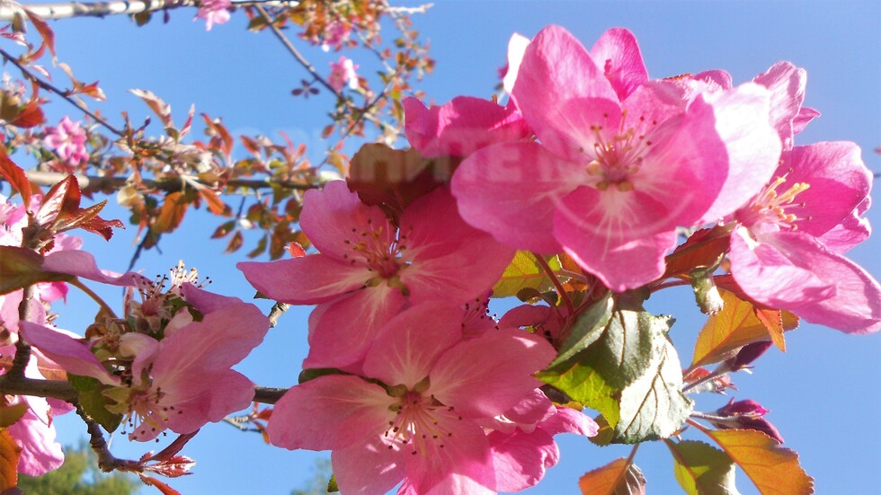 Добре дошъл, април!