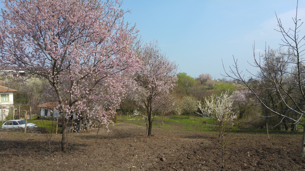 Пролет е