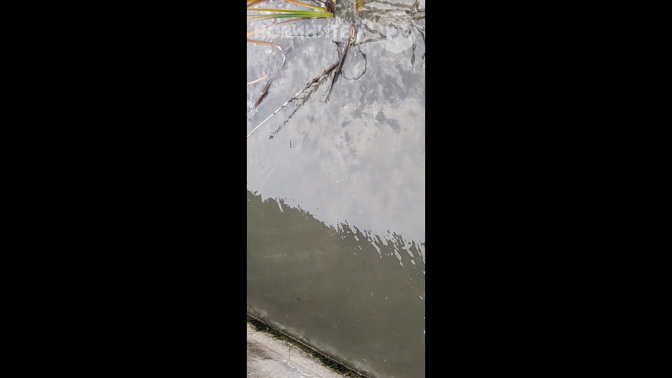 Екология по пернишки