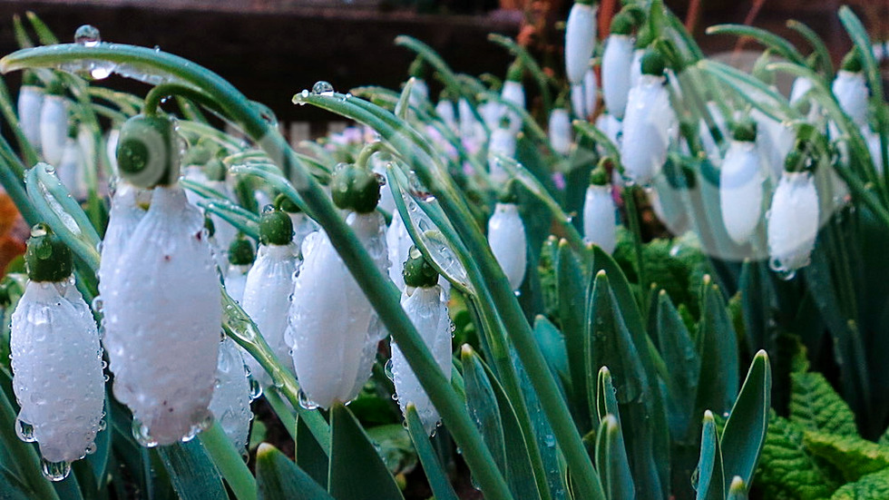 Приятен дъждовен следобед!