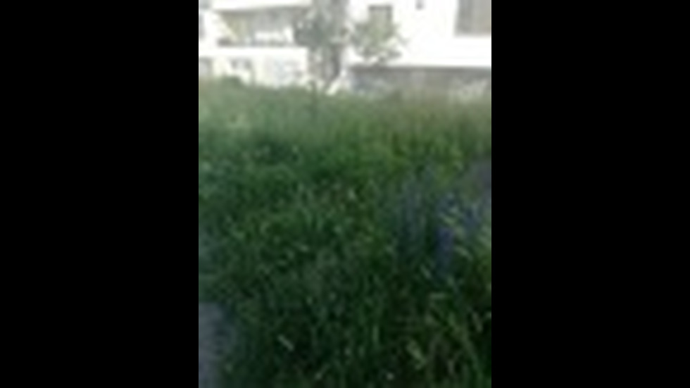 Тревните площи в Карлово