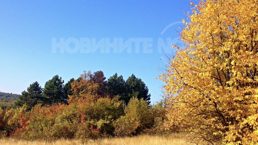 Красотата на Октомври в "Скобелев парк"